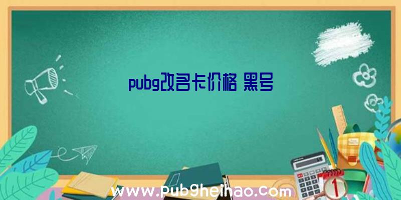 pubg改名卡价格